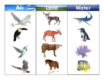 Land Water Air Animals .